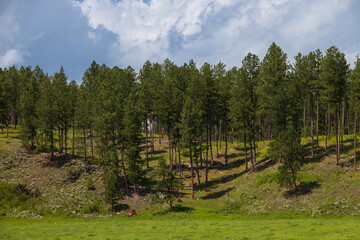 Old rusted vehicle in a meadow