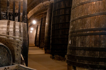 Visit of wine cellar with old large oak barrels, production of fortified dry or sweet tasty marsala wine in Marsala, Sicily, Italy