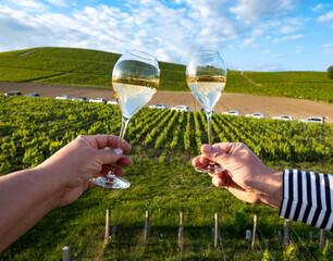 Glasses of white sparkling wine brut, grand reserve, champagne on green hilly vineyards in old wine...