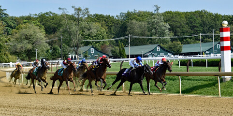 Horse round the turn at Saratoga