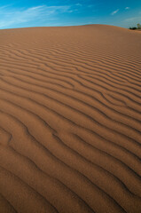 Natural designs and shapes in the sand, caused by the wind.