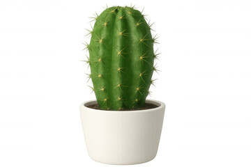 3d rendered minimalist green cactus standing in white ceramic pot, transparent backdrop highlighting succulent botanical detail