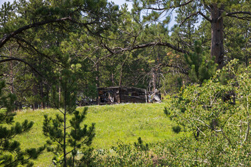 Old dilapidated wooden building in a meadow