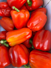 Fresh red bell peppers