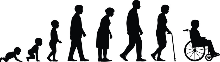 Human life stages silhouette, aging progression vector, baby to elderly graphic, development phases, generational concept, age transition illustration