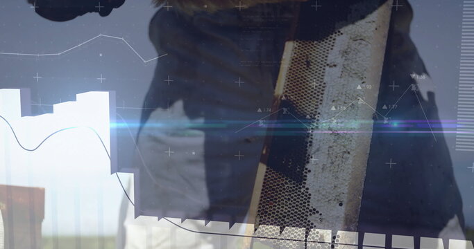 Examining male beekeeper holding wooden honeycomb frame at open apiary, with digital data overlay - Powered by Adobe