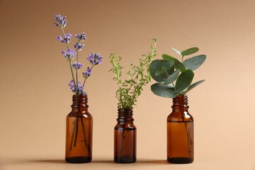 Essential oils with different plants in bottles on beige background