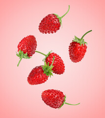 Fresh ripe wild strawberries falling against pink background