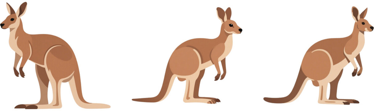 カンガルー　動物　生き物　イラスト