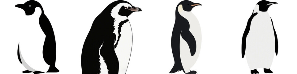 Obraz premium ペンギン 動物 生き物 イラスト