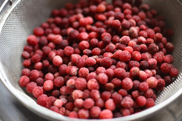 たくさんの山桃