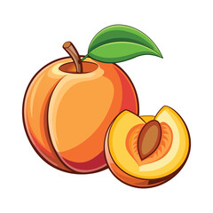 Fresh Ripe Peach Fruit Vector Illustration