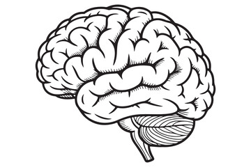 Brain silhouette icon simple vector illustration isolated on white background for medical concepts
