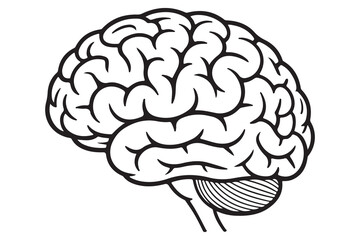 Brain silhouette icon simple vector illustration isolated on white background for medical concepts
