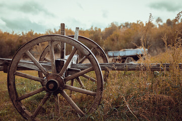 Fototapeta premium An old wooden wagon wheel sits prominently in a field of overgrown grass, with a rusty cart in the background against a backdrop of autumnal trees. 