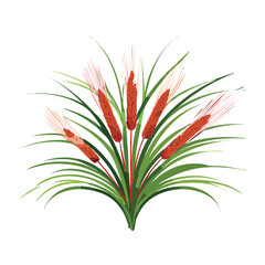 Simple Illustration of a Cattail Plant with Leaves, Isolated Nature Graphic
