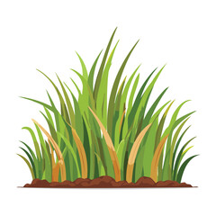 Minimalist Illustration of Fresh Green Grass, Clean Lawn and Plant Vector