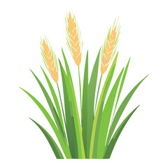 A Strip of Golden Wheat and Green Grass, Isolated Nature and Farm Graphic