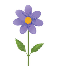 Beautiful purple dahlia flower with green leaves illustration