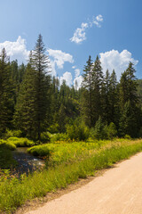 Fototapeta premium Small stream next to the George S. Mickelson Trail, South Dakota