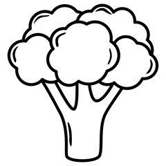 vector illustration of broccoli 