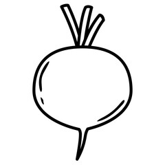 Obraz premium vector illustration of beetroot 