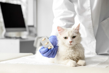 Veterinarian holding anti-parasitic pills near cat in vet clinic, closeup