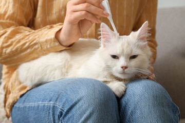 Young woman applying spot-on parasite treatment to cat's neck at home