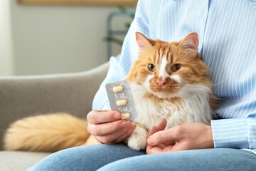 Young woman with cat and anti-parasitic pills at home, closeup