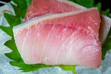 hamachi sashimi yellowtail slices, fresh hamachi sashimi on ice, hamachi sashimi japanese dish