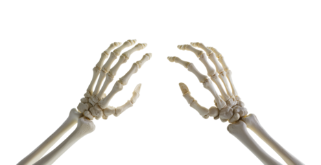 Skeletal human hands isolated on transparent background perfect for halloween spooky decoration mockup design. 