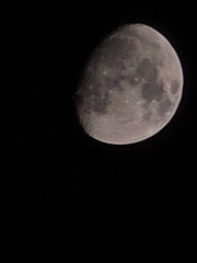 full moon in the night