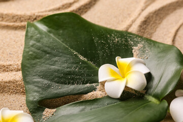 Plumeria flower with palm leaf on sand, closeup