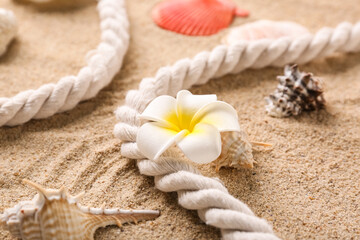 Plumeria flower with seashells and rope on sand, closeup