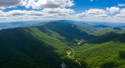 Fototapeta premium A Long Winding Road Through a Forested Mountain Valley