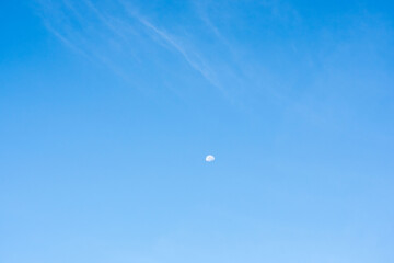 夏の早朝の空に白い月が浮かぶ03