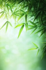 Naklejka premium Bright green bamboo leaves gently hanging with soft sunlight filtering through a serene natural background