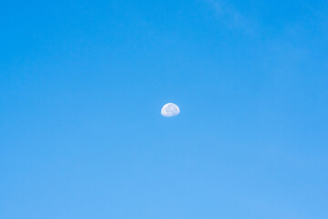 夏の早朝の空に白い月が浮かぶ01