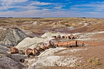 A long tree of petrified wood broken into pieces at Petrified Forest National Park, Arizona. White...