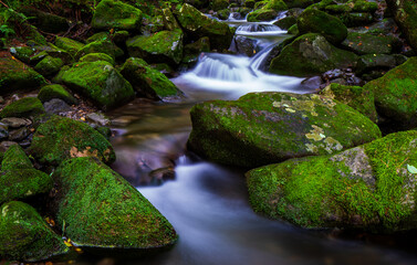 A long exposure photograph of a summer moss valley landscape in South Korea