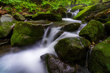 A long exposure photograph of a summer moss valley landscape in South Korea