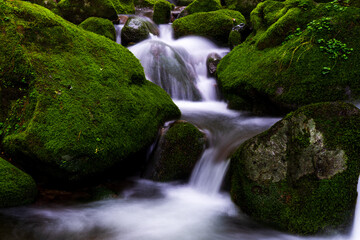 A long exposure photograph of a summer moss valley landscape in South Korea