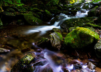 A long exposure photograph of a summer moss valley landscape in South Korea