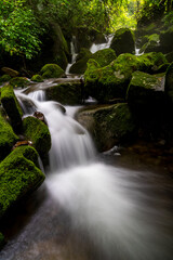 A long exposure photograph of a summer moss valley landscape in South Korea