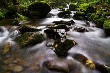A long exposure photograph of a summer moss valley landscape in South Korea