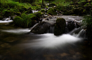 A long exposure photograph of a summer moss valley landscape in South Korea