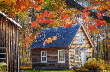 A cozy log cabin sits nestled in a vibrant autumn forest, surrounded by colorful fall foliage and bathed in warm sunlight.
