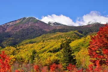 のりくら高原の秋景色
