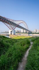 Chongqing cityscape showcases unique bridge architecture against vibrant urban skyline during daylight hours