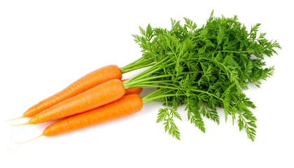 Fresh carrots with vibrant green tops
